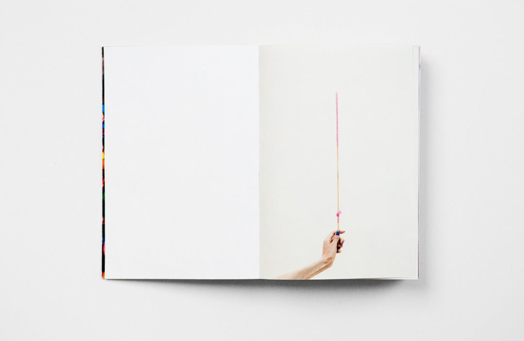 TO TELL MY REAL INTENTIONS, I WANT TO EAT ONLY HAZE LIKE A HERMIT by Katherine Longly - Tipi bookshop