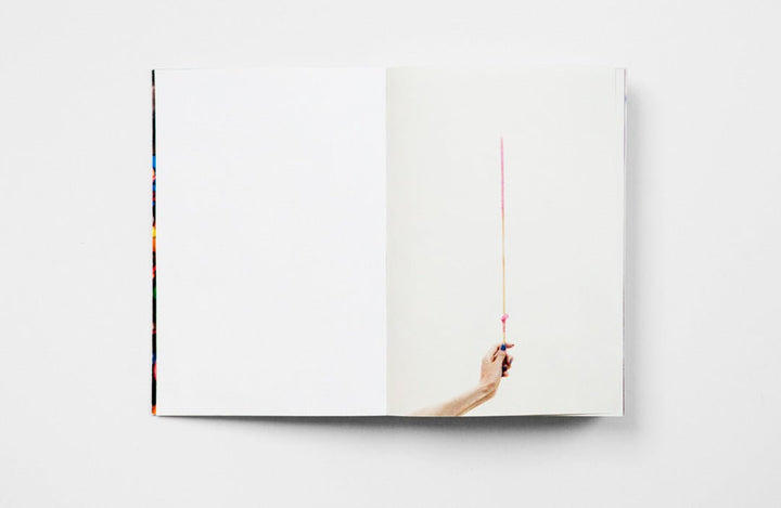 TO TELL MY REAL INTENTIONS, I WANT TO EAT ONLY HAZE LIKE A HERMIT by Katherine Longly - Tipi bookshop