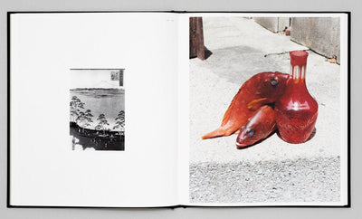 Tokyo fishgraphs by Naohiro Harada - Tipi bookshop