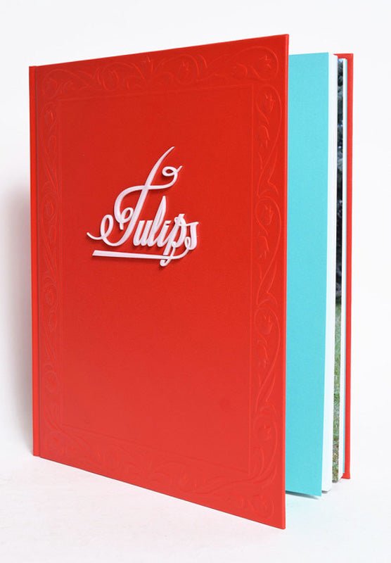 Tulips by Andrew Miksys - Tipi bookshop