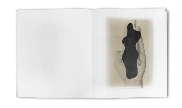 Understanding the landscape by Babs Decruyenaere - Tipi bookshop