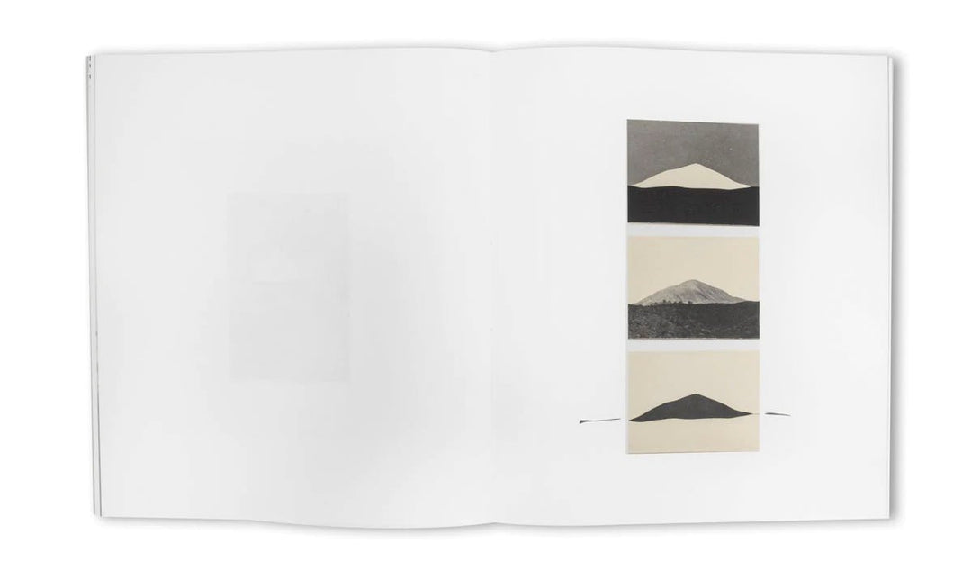 Understanding the landscape by Babs Decruyenaere - Tipi bookshop