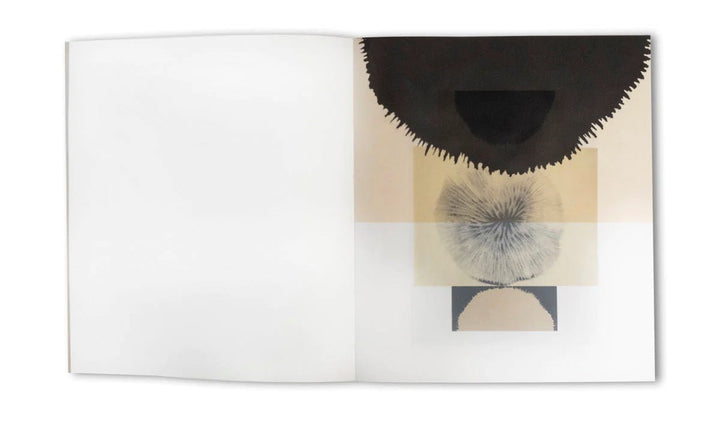 Understanding the landscape by Babs Decruyenaere - Tipi bookshop
