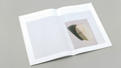 until the end __ I will follow you by Hanne Lamon - Tipi bookshop