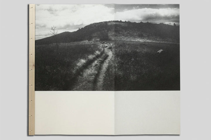 Valleys by Harrison Miller - Tipi bookshop