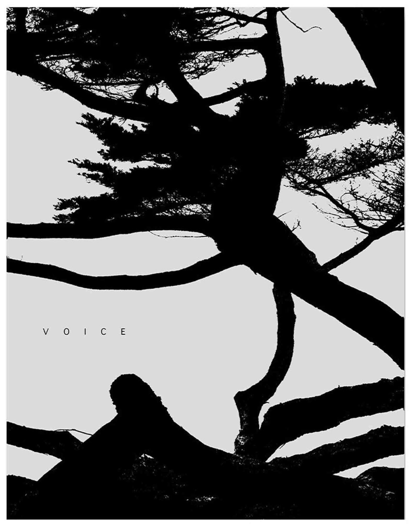 Voice by Jungjin Lee - Tipi bookshop