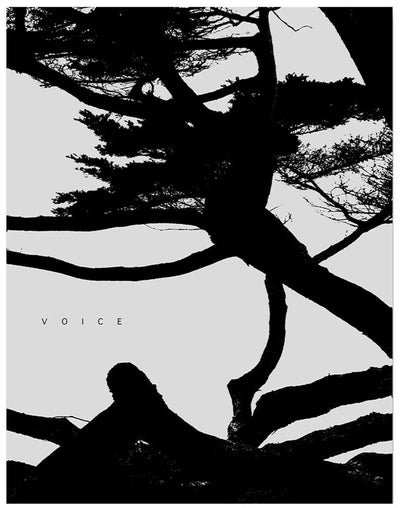 Voice by Jungjin Lee - Tipi bookshop