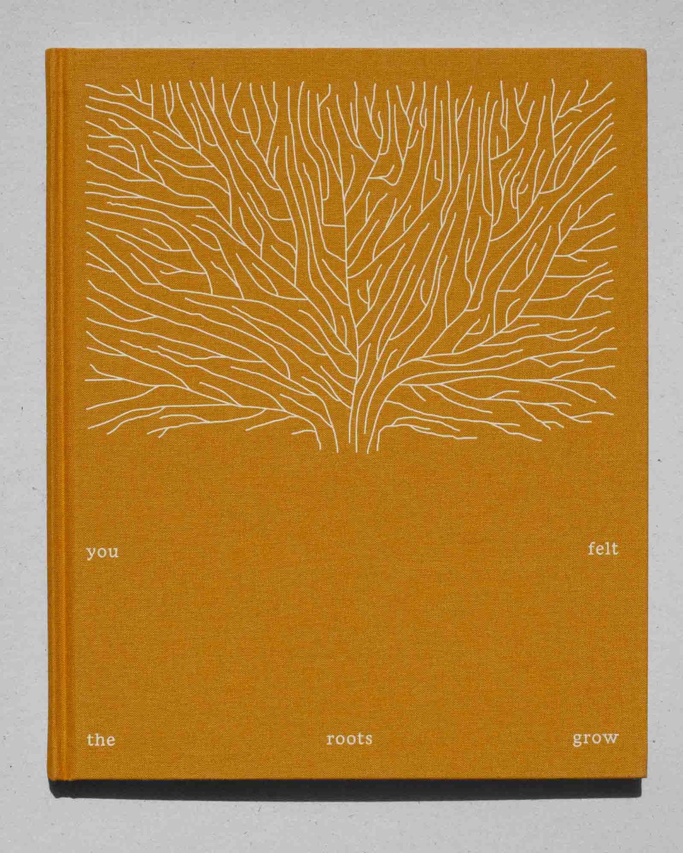 You felt the roots grow by Sabine Hess - Tipi bookshop